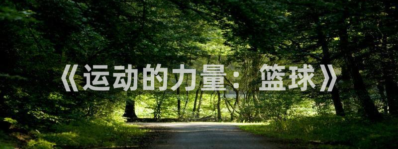 三亿体育网页版