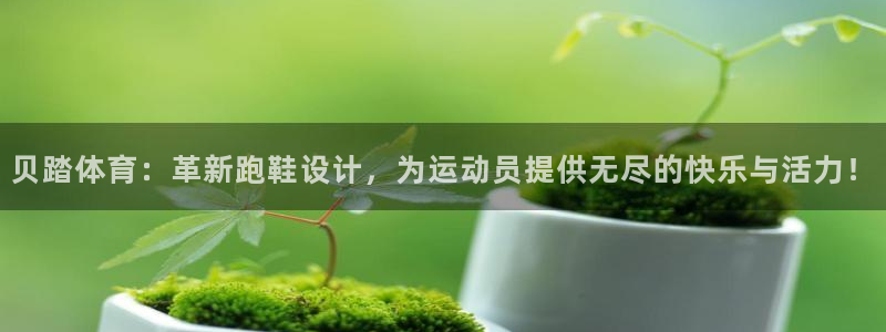 三亿体育网