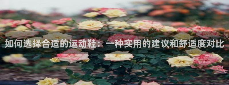 三亿体育网页版