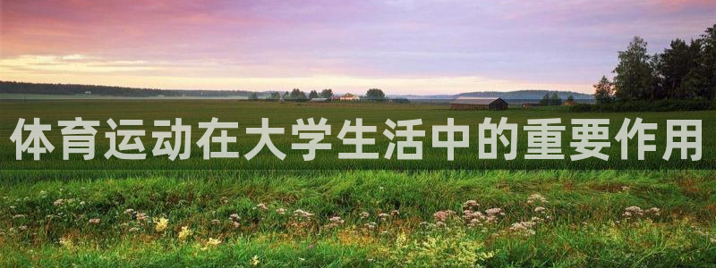 三亿体育网页版