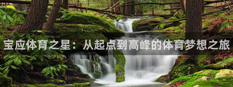 三亿体育网页版