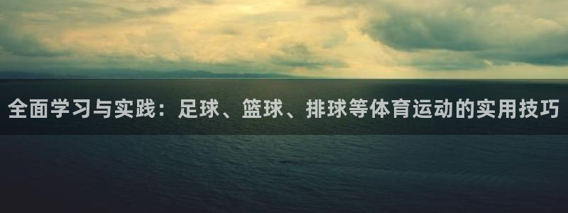 三亿体育网页版