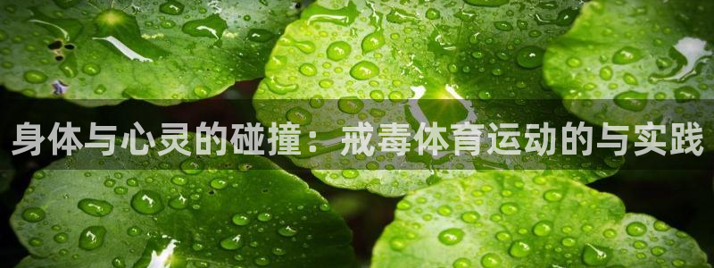三亿体育网页版
