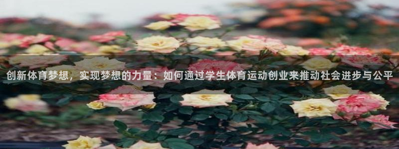 三亿体育登录