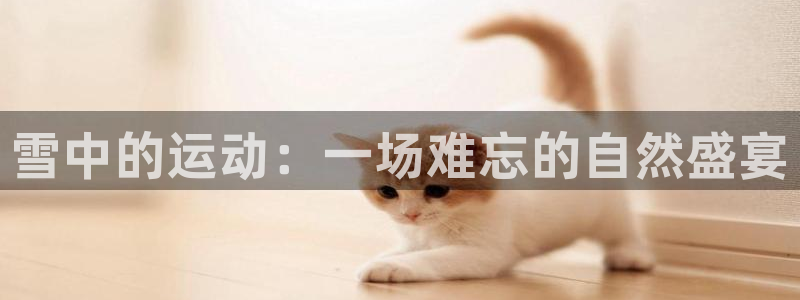 三亿体育