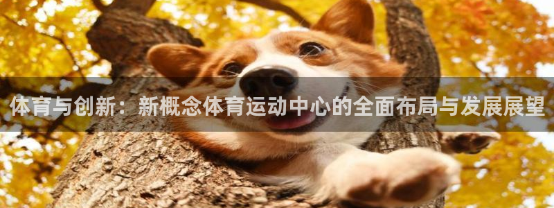 三亿体育登录