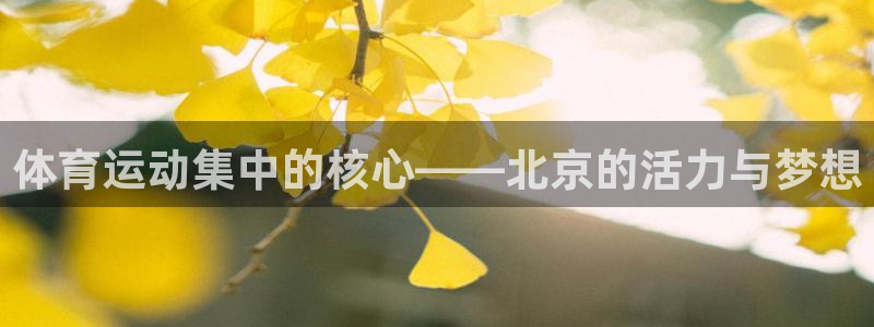 三亿体育登录