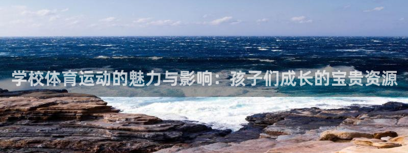 三亿体育网页版