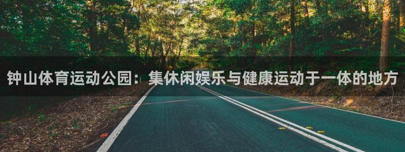 三亿体育网页版
