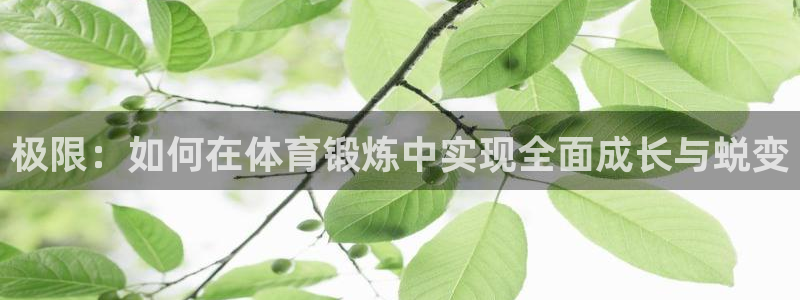 三亿体育网