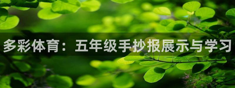 三亿体育网