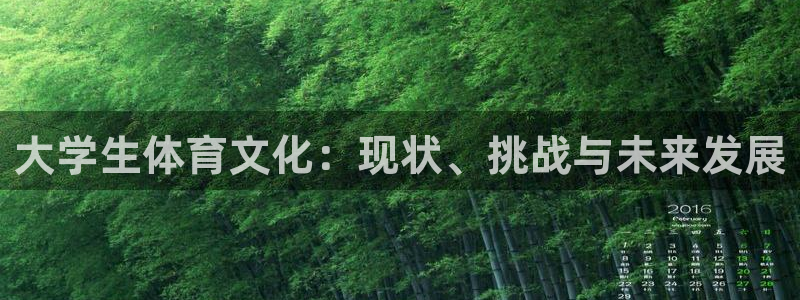 三亿体育网页版